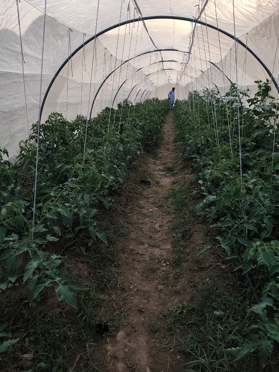KP-RIISP project photo 29